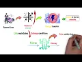 SCI-102 Module 2 Cell Structure and Function