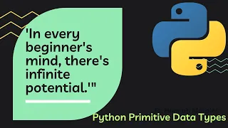 Python Primitive Data Types Exploring the Fundamentals