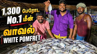 1,300 பேருக்கு No.1 மீன் – வாவல் 🐟🔥 | White Pomfret”