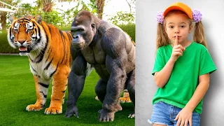 Animals Stories for kids | Educational Adventure & Discover Animal Names with Anabella