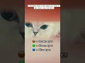 Download Lagu What color will win?? #foryou #kikicutekitty #oceaneyes #trending #eyecolor #comment #cutecat