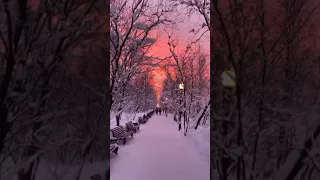 Mayel Jmineze Un Regalo Live Like Love Highlights Subscribe Regalos Mayeljimenez Instagram 