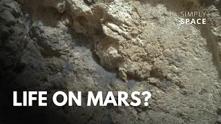 Signs of life on Mars!