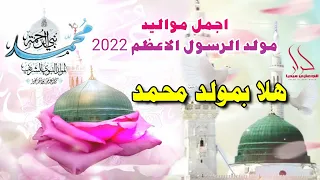 جديد اجمل مواليد مولد الرسول الاعظم محمد      اروع افراح المولد النبوي  هلا بمولد محمد   عيسى العيسى دندنها