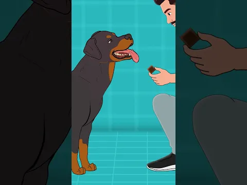 ❤️ Warum Hunde Knochen niemals hergeben