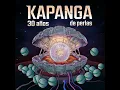 Fumar (feat. Nonpalidece) - Kapanga