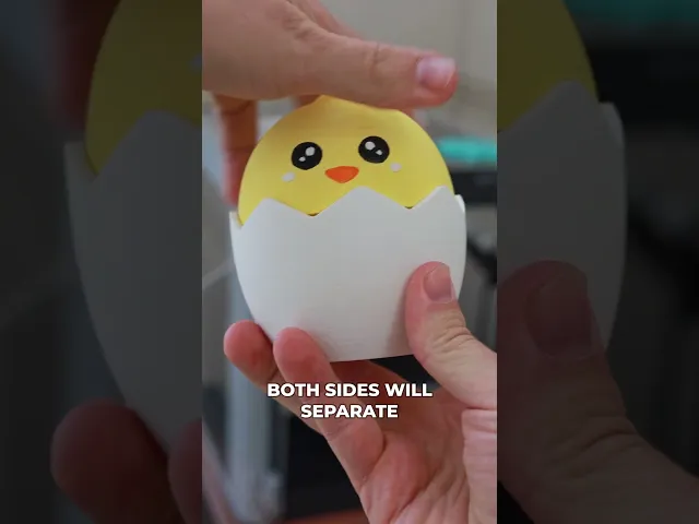 Chicken Egg Container video thumbnail
