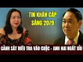 Download Lagu Cực Nóng Sáng 20/9 Anh Hai Khàn Ngất Xỉu Khi CSĐT Vào Cuộc | Đình Thông TV
