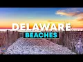 Top 10 Best Beaches in Delaware - Travel 2023
