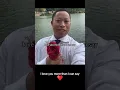Download Lagu wow wow yea yea, I love you more than I can say (Hmong version)