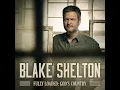 Nobody But You (Duet with Gwen Stefani) (feat. Gwen Stefani) - Blake Shelton