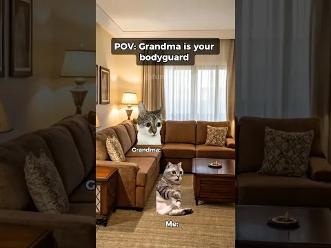 Grandma is your bodyguard #catmemes #relatable #shorts