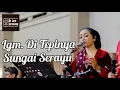 Download Lagu Di Tepinya Sungai Serayu - Hartika