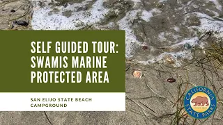 Self Guided Tour Swamis Marine Protected Area