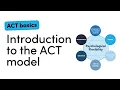 Introduction to the Acceptance Commitment Therapy ACT model in ONE minute with Dr Joe Oliver