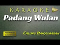 Download Lagu Padang Wulan Karaoke Calung Banyumasan set Gamelan Korg Pa600 + Lirik