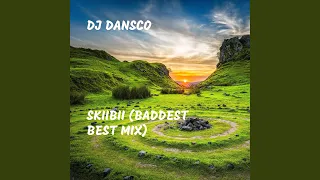 skiibii baddest best mix 