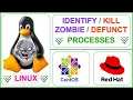How to Identify and Kill Processes in Linux