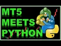 How to Automate Your Trading Strategy in MetaTrader Using Python Step-by-Step