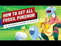 How to Get Every Fossil Pokemon in Sword and Shield Dracovish Arctovish Dracozolt Arctozolt
