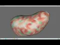 VTK Python Example - MeshLabelImageColor