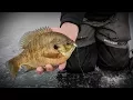 Monster Ice Bluegills - In-Depth Outdoors Season 12 Episode 3