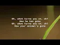 SUEDE ANIMAL NITRATE _ LYRICS
