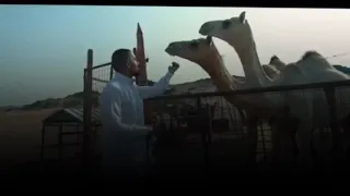 هات النياق    دندنها