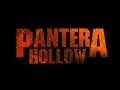 Pantera - Hollow (solo)