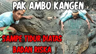 Download DIPELUK HINGGA NAIKIN BADAN BUAYA RISKA,CINTA \u0026 KASIH SAYANG AMBO, TANPA BATAS❗ MP3