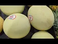 How to pick a juicy sweet tasty honeydew melon | The 4 things to look for | How to slice and cut