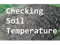 Importance of Checking Soil Temperature Before Planting - Quick Tip