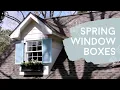 Spring Window Boxes Catherine Arensberg