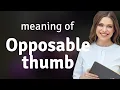 Understanding the Opposable Thumb A Key Human Feature