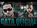 Gata Oficial Lui G Ft Arcangel Y El Remix  (Www.FlowHoT.NeT)