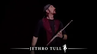 Download Jethro Tull - God Rest Ye Merry Gentlemen (Ian Anderson Plays The Orchestral Jethro Tull) MP3
