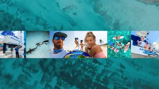 Spear It Animal Live Stream