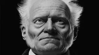 وهم السعادة عند شوبنهاور هل السعادة ممكنة 