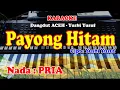 Download Lagu Dangdut ACEH - Nada : PRIA - PAYONG HITAM - KARAOKE