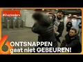Aan deze BOA’S is ONTSNAPPEN geen mogelijkheid 🤪 | Overtreders