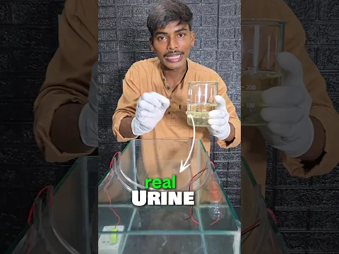 क्या urine से बिजली लग सकती है!💀🥃✅️ #science #urine