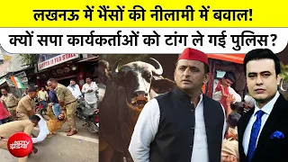Syed Suhail| Buffaloes Auction | Lucknow में भैंसों की Auction में बवाल ?| NDTV | CM Yogi