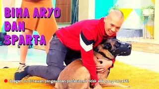 bima aryo dan sparta okay bos 13 11 19 part 4