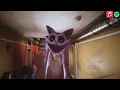 CatNap Song MUSIC VIDEO (Poppy Playtime Chapter 3 Deep Sleep)