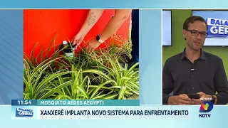 Xanxerê confirma casos de chikungunya e dengue e reforça combate ao mosquito