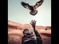 غريب ال مخلص - البعد موتي (حصرياً) | 2020