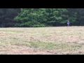 IMG 0966