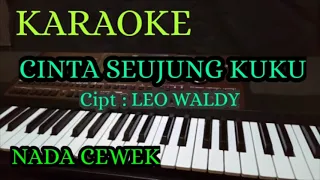 Download CINTA SEUJUNG KUKU || CIPTAAN LEO WALDY || KARAOKE NADA CEWEK + LIRICK MP3