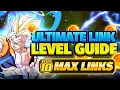 THE ULTIMATE GUIDE TO LINK LEVELS IN DOKKAN THE BEST STAGES AND MORE DBZ Dokkan Battle
