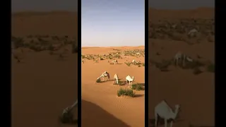 مشتاق العيشة بالبر 